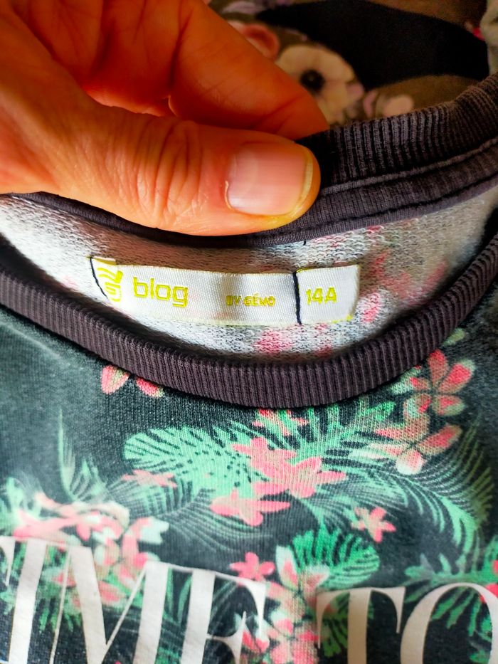 Lot pull fleurie 12/14 ans - photo numéro 2