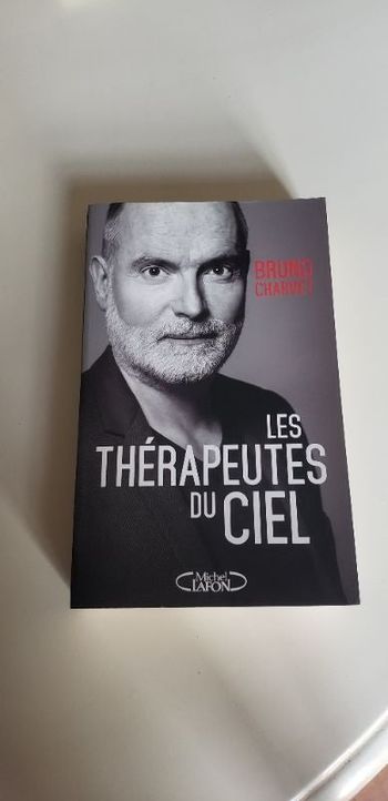 Livre Les thérapeutes du ciel.