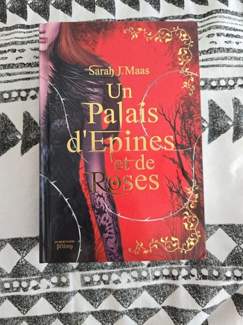 Un palais d’épines et de roses 🌹