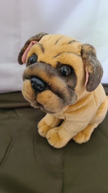 Peluche chien type carlin