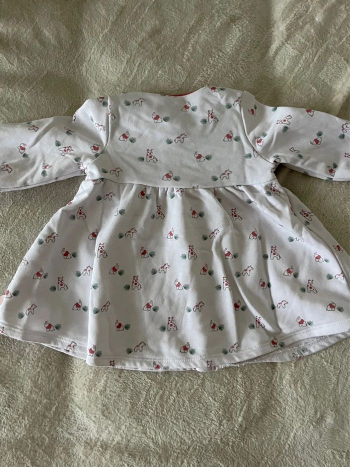 Robe obaibi - photo numéro 2