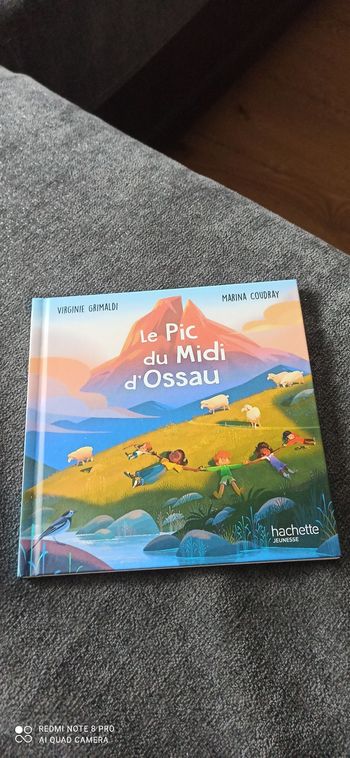 Livre le pic du Midi d' ossau