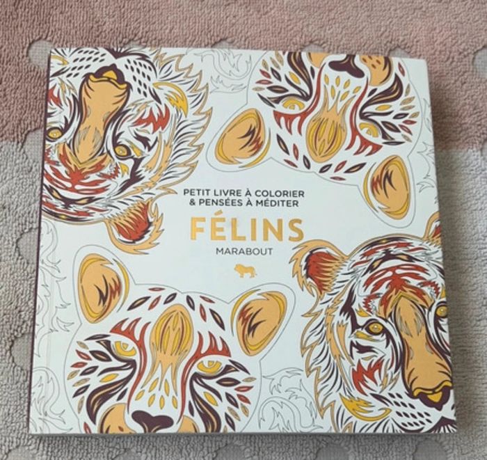 Livre Coloriage félins