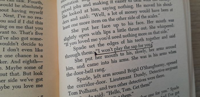 dashiell hammettt - the maltese falcon - photo numéro 7