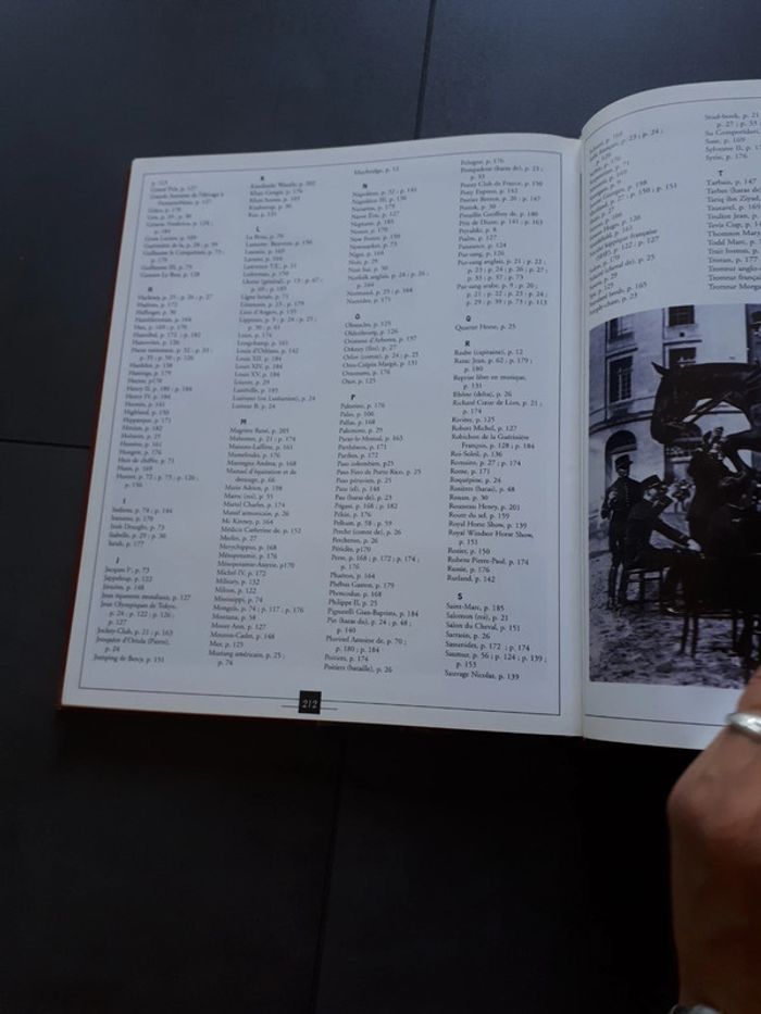 Très beau livre le grand livre des chevaux - photo numéro 19