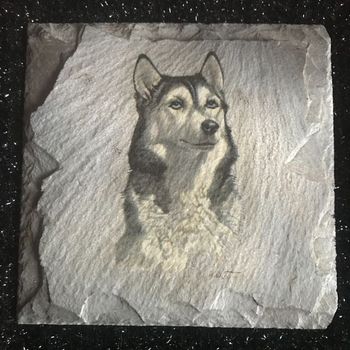 cadre déco husky * prix 2e * kiki60230