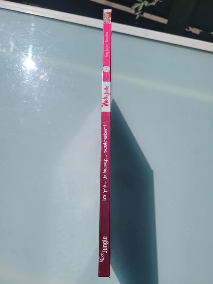 BD Mistinguette Tome 7 💘 Un peu .. beaucoup .. passionnément! - photo numéro 3