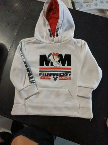 Pull Disney 18/24 mois