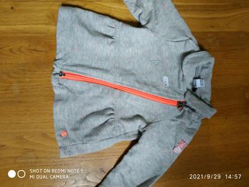 Veste