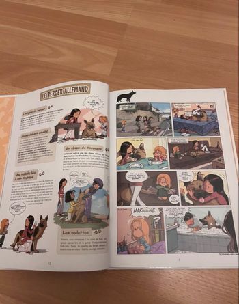 BD les sisters tome hors série 