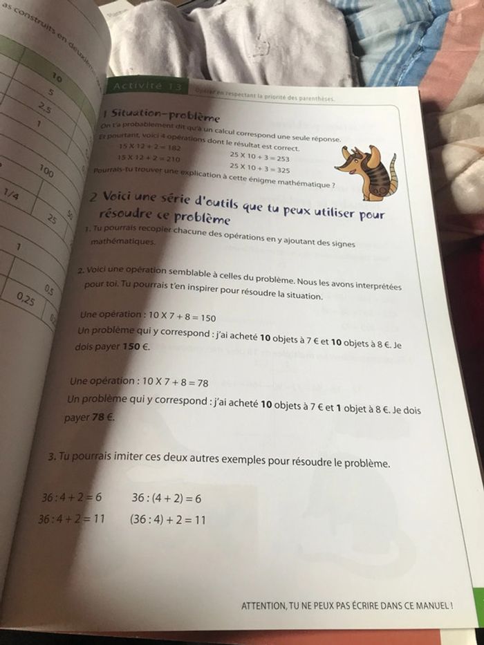 Tatou 4 math Plantyn - photo numéro 2