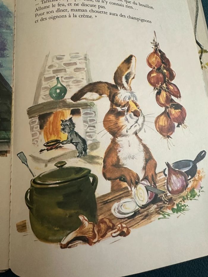 Livre bd album vintage Tim et Poum dans la forêt nature enquête hibou Pierre Probst - photo numéro 6