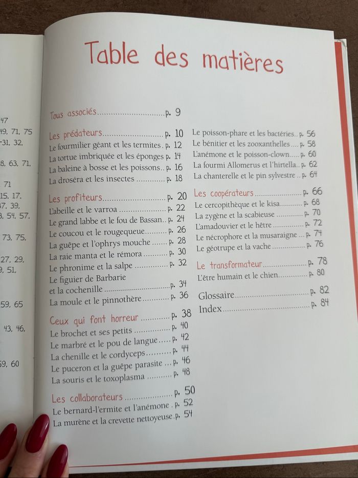 Livre animaux - photo numéro 3