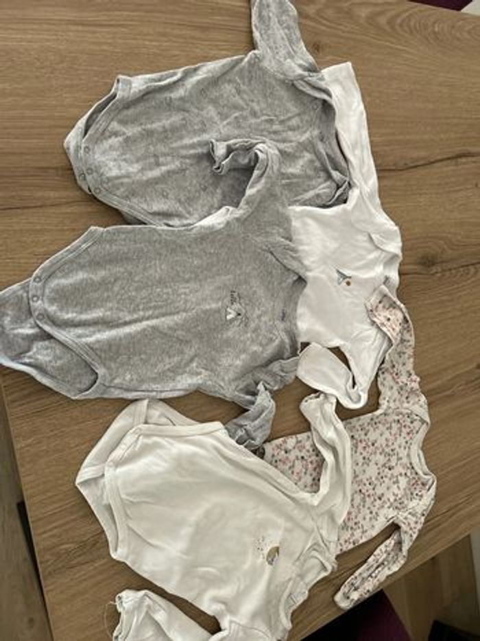 Lot 5 bodies ML 12 M
