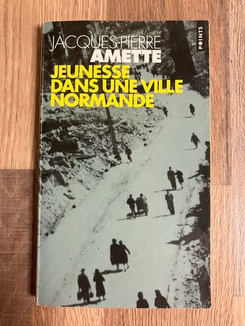 Livre de poche-JP Amette-Jeunesse dans une ville normande