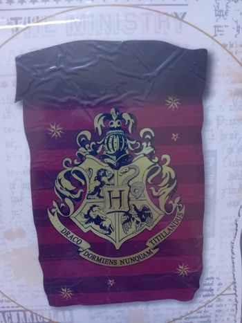 Couette Harry Potter