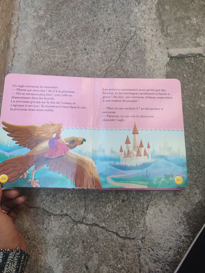 Livre le secret de la princesse - photo numéro 19