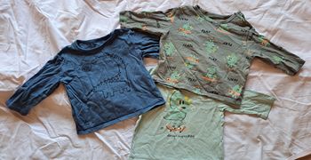 Lot de 3 T.shirts ML Dinosaures mignons