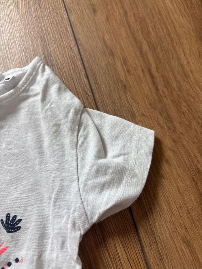 T-shirt gemo 24 mois - photo numéro 3