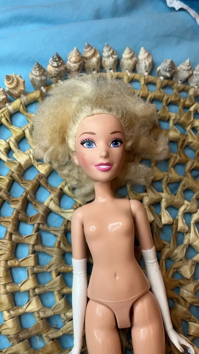 Barbie cendrillon - photo numéro 4