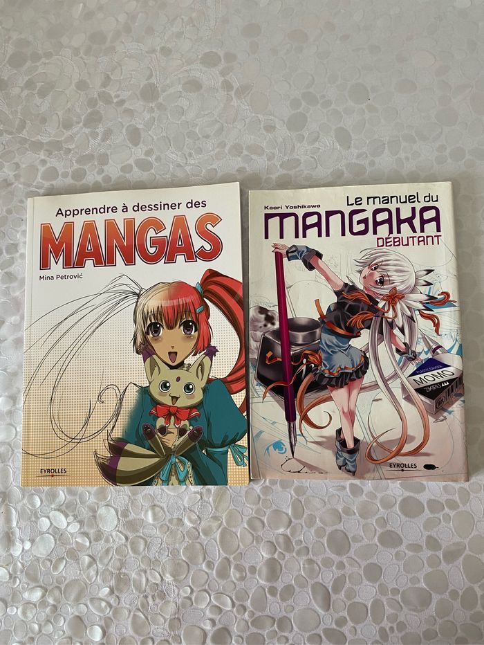 Lot de 2 livres  apprendre à dessiner manga - photo numéro 2