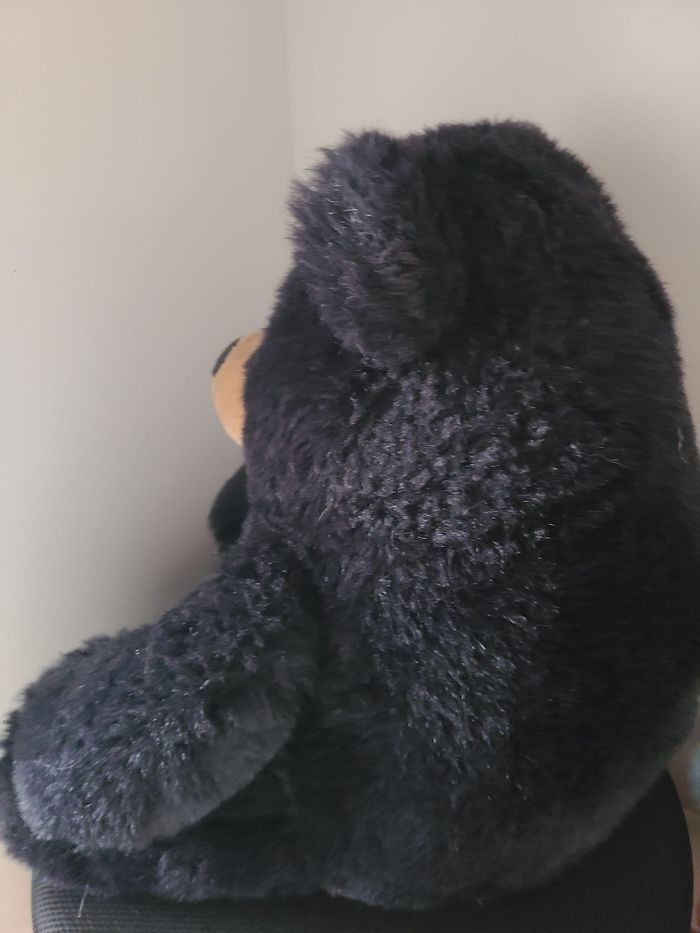 peluche ours - photo numéro 4