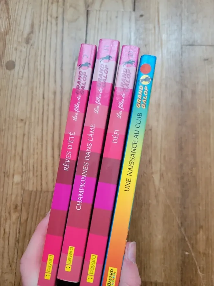 Lot 4 livres de la série Grand Galop - photo numéro 2