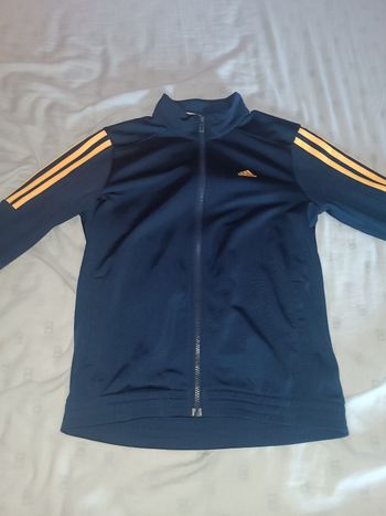 Gilet adidas