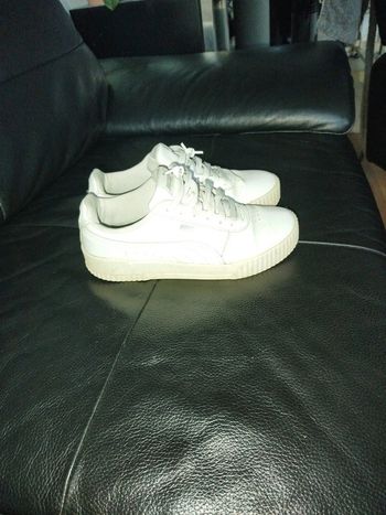 Puma femme