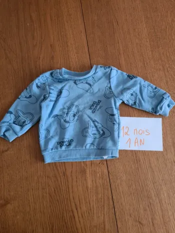 Pull polaire