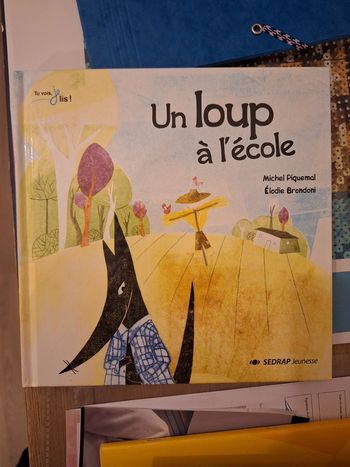 Livre Un loup à l'école