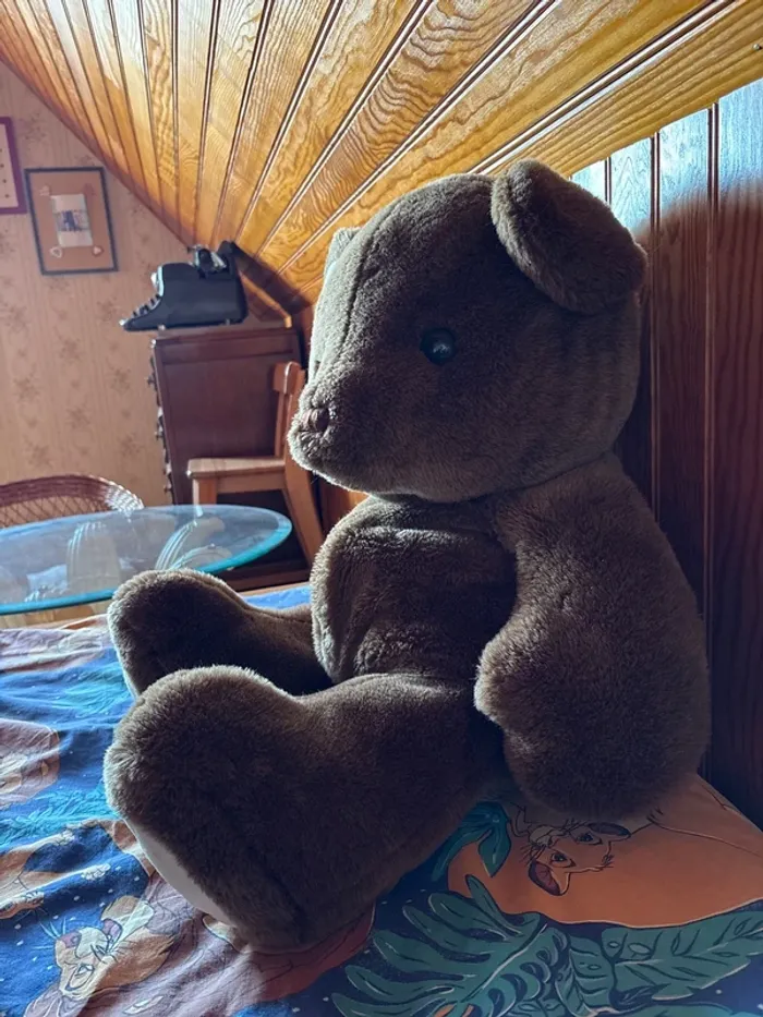 Gros ours en peluche - photo numéro 2