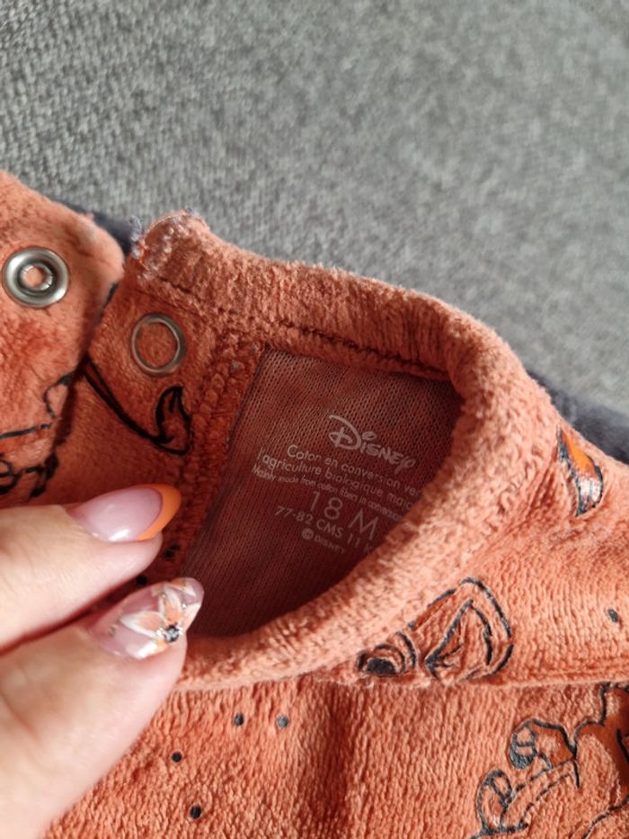 Pyjamas chaud le roi lion - photo numéro 3