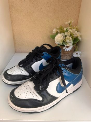 Baskets Nike Dunk low next nature 37,5