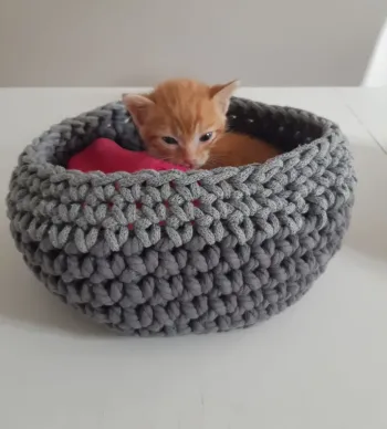 Panier crocheté à la main en cordon de coton recyclé