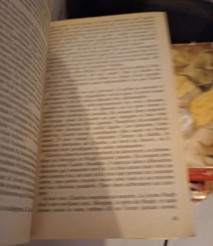 Lot de 30 livres aventure et passion romance historique - photo numéro 3