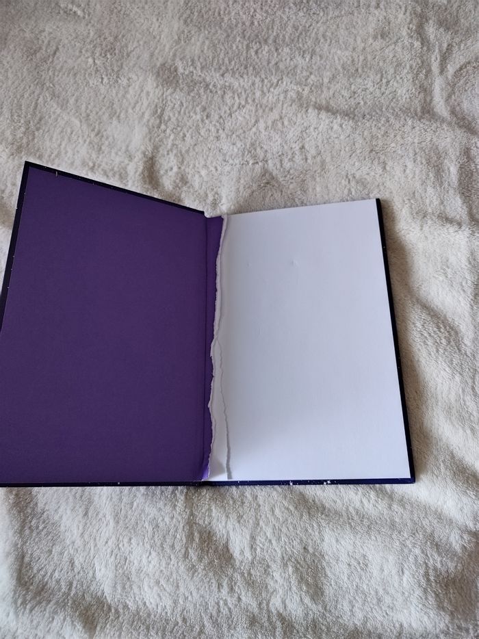 Mortelle Adèle - photo numéro 2