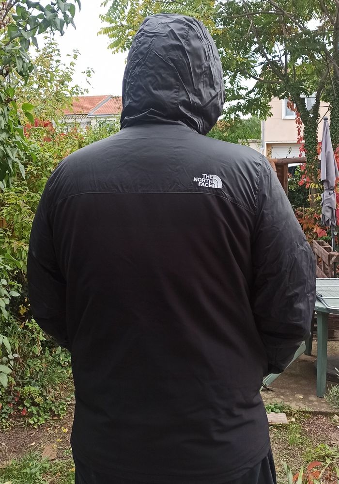 Veste a capuche/blouson the North face - photo numéro 4