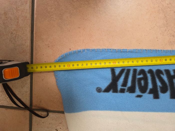 Plaid asterix et obelix - photo numéro 2