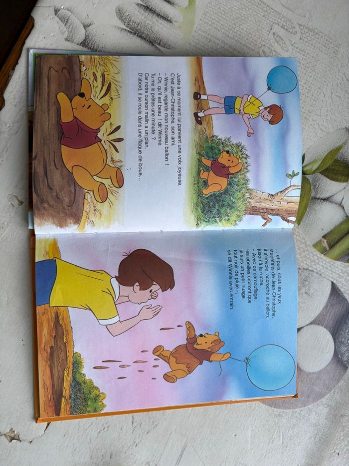 Livre Disney - photo numéro 3