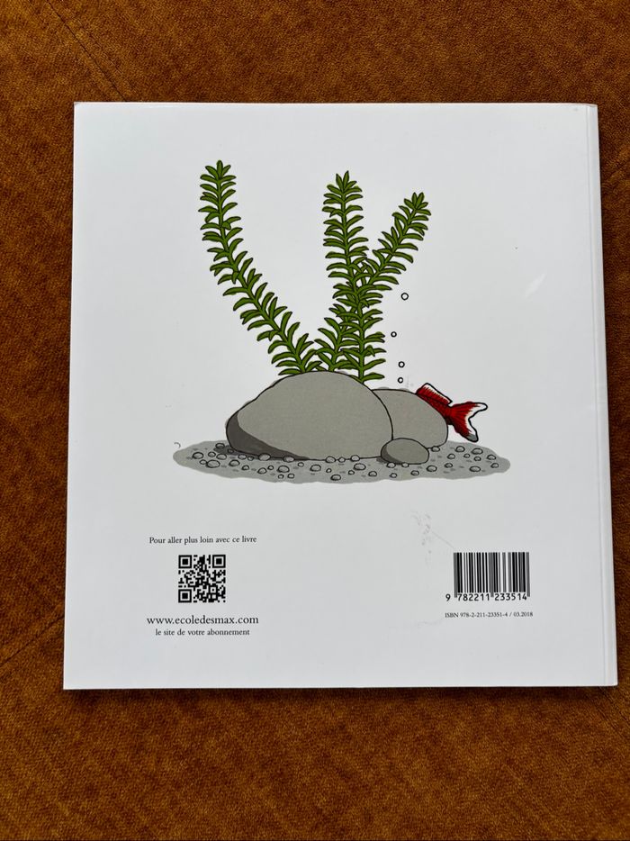 Le poisson de Nanami - photo numéro 2