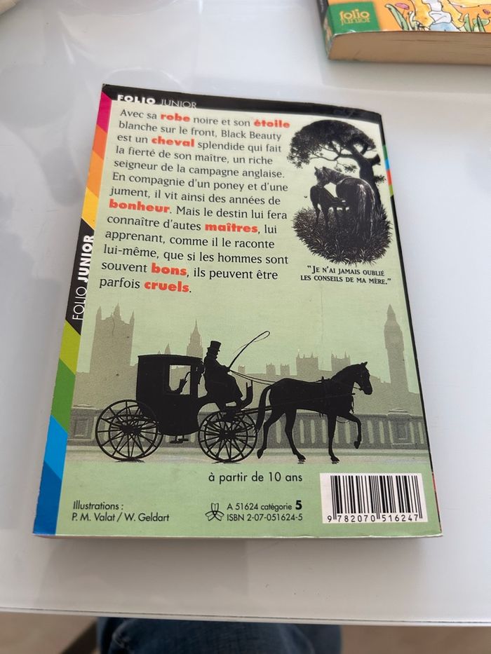 Livre black beauty d’Anna Sewell - photo numéro 2