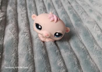 Petshop hamster 1057