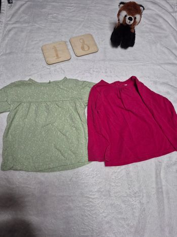 Lot 2 tee-shirts manches longues 18mois