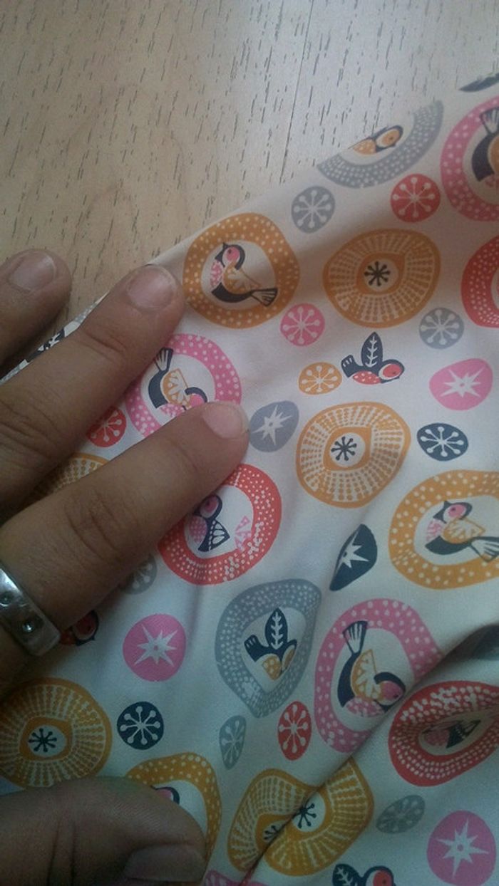 Coupe vent oiseaux - photo numéro 8