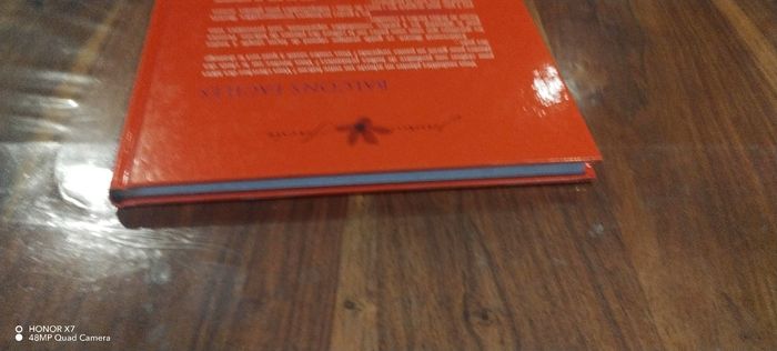 Balcon facile - photo numéro 5