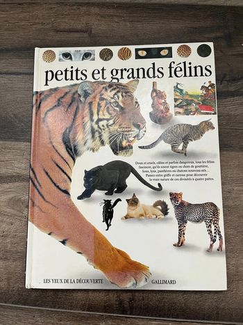 Livre : petits et grands félins