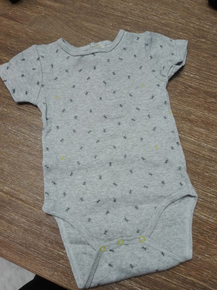 Body fourmi gris mixte