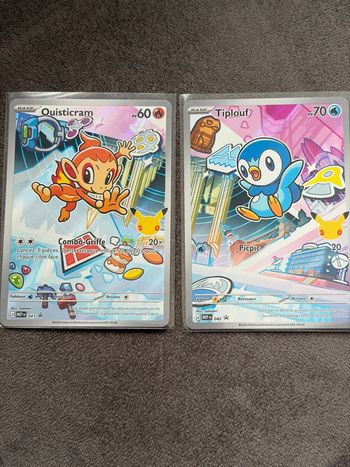 Premier partenaire Pokémon