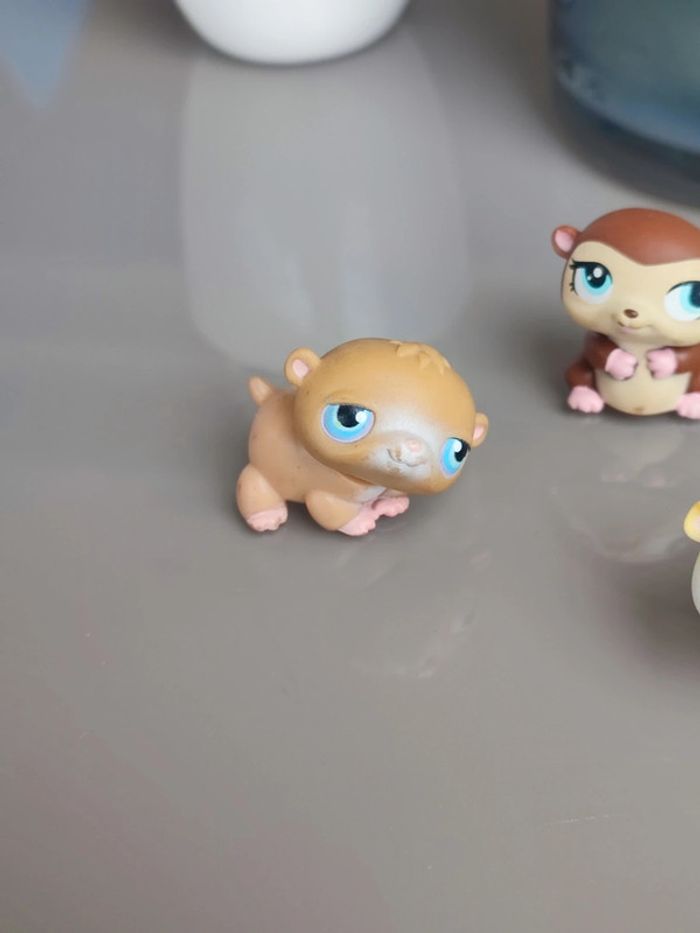 Littlest Pet Shop Rodent Gerbil hamster guinea pig - photo numéro 4